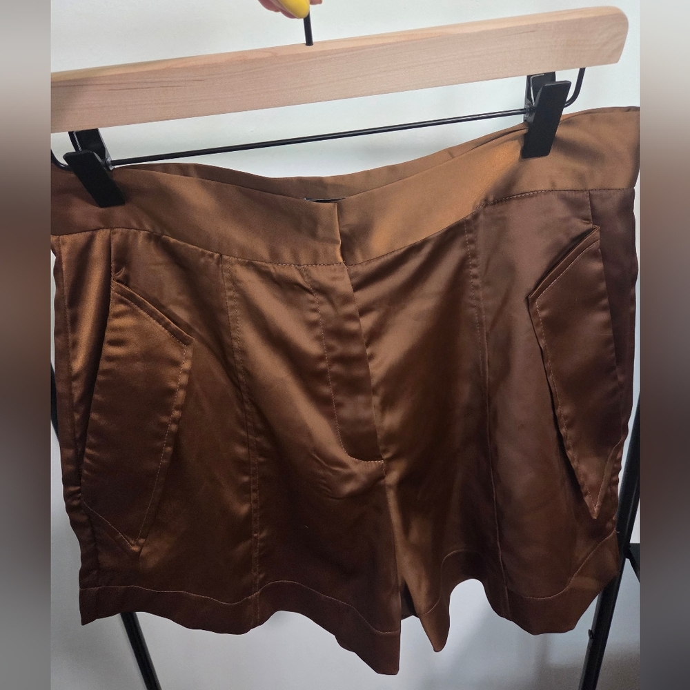 Deluc Elegant Brown Women's Satin Feel Shorts. Size Large. EUC. - Picture 6 of 7